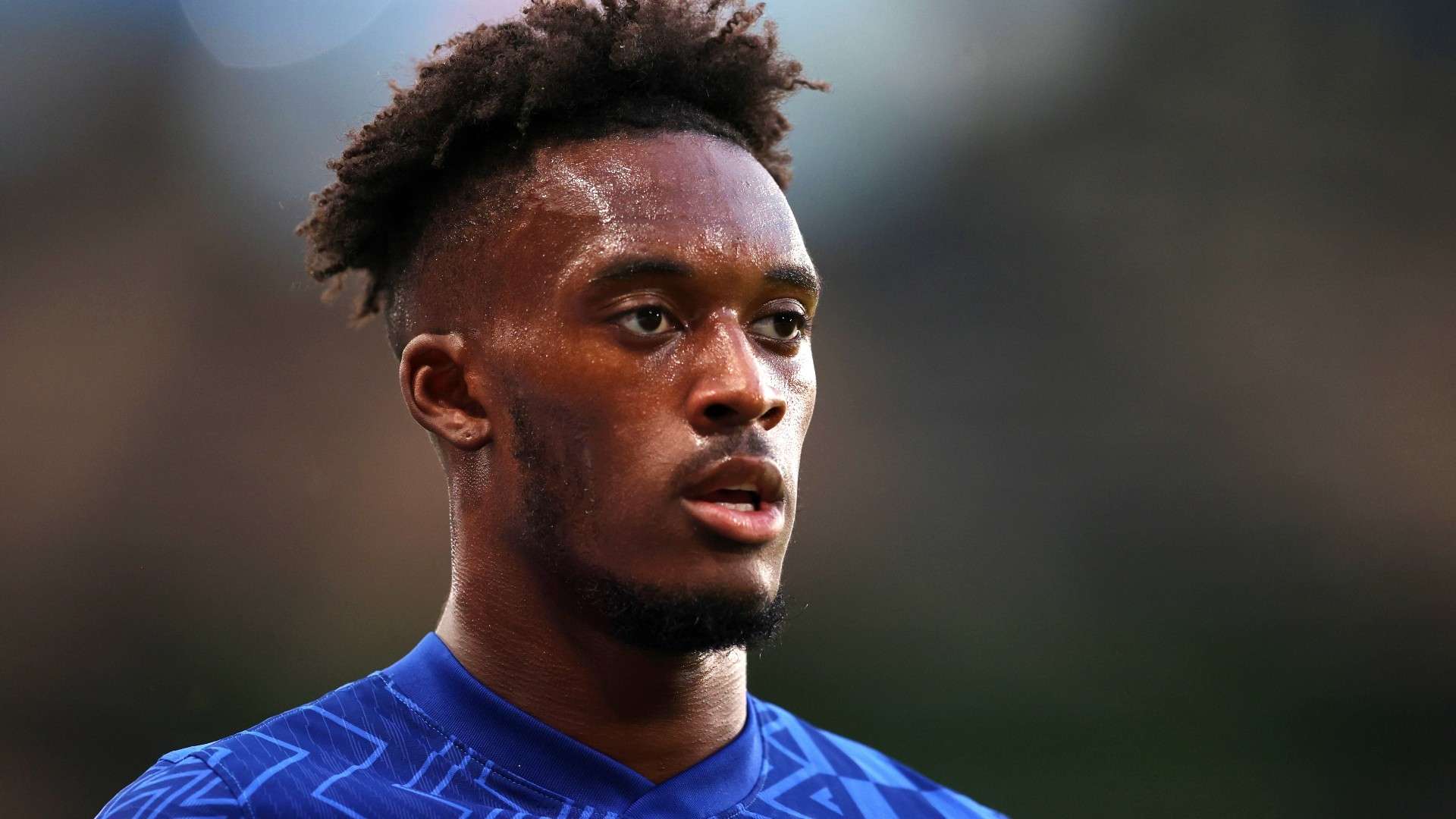 尽管他们最 尽管他们最