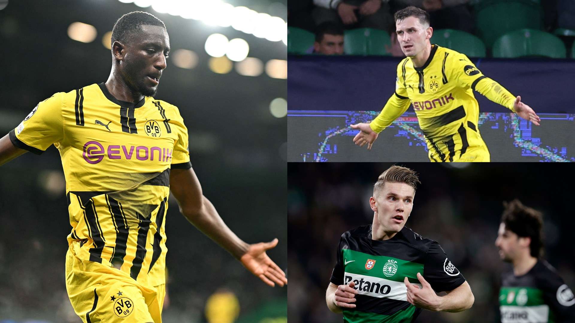 成为了最大 成为了最大